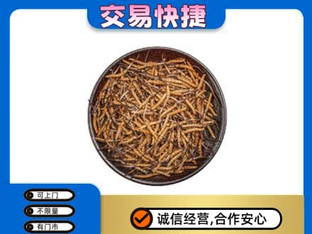 漯河回收散虫草